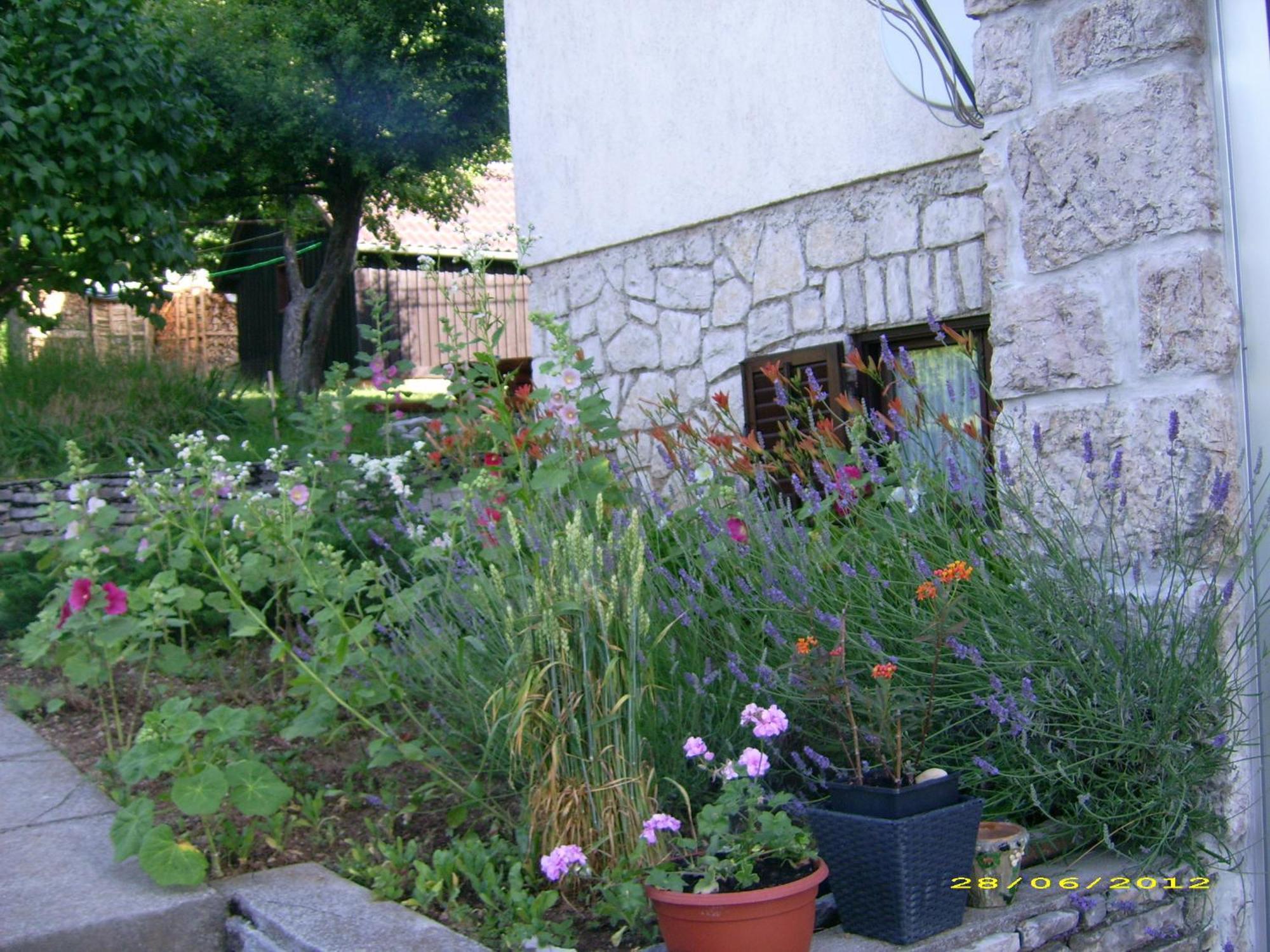 Vila Vuk Plitvicka Jezera Exterior photo